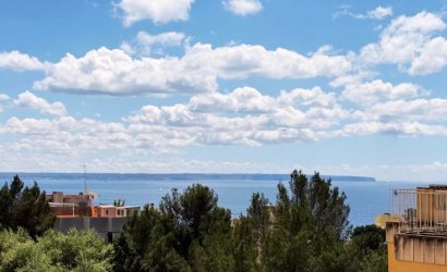 Apartment - Herverkoop - PALMA -
                Sant Agustí