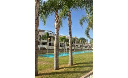 Apartment - Herverkoop - Torrevieja -
                Los Balcones