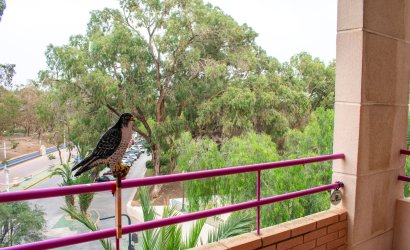 Apartment - Reventa -
                Guardamar del Segura - MM-58097