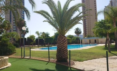 Apartment - Revente - Benidorm -
                Benidorm