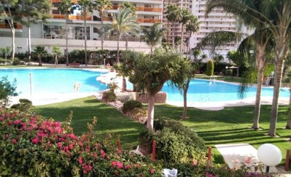 Apartment - Revente -
                Benidorm - MM-23870