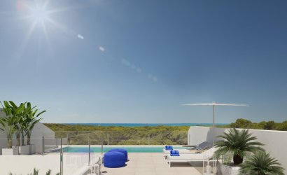 Attique - Nouvelle construction -
                Guardamar del Segura - NB1S-95578