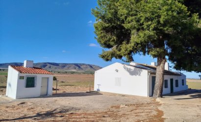 Country House - Resale - Yecla -
                Inland