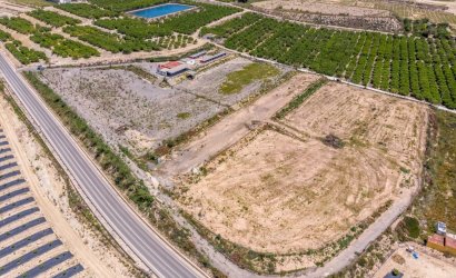 Finca - Herverkoop - Los Montesinos -
                Los Montesinos