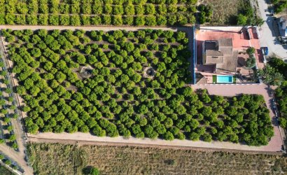 Finca - Herverkoop - Orihuela -
                Inland