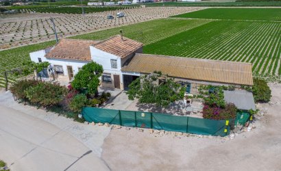 Finca - Reventa - Orihuela -
                Desamparados-hurchillo-torremendo