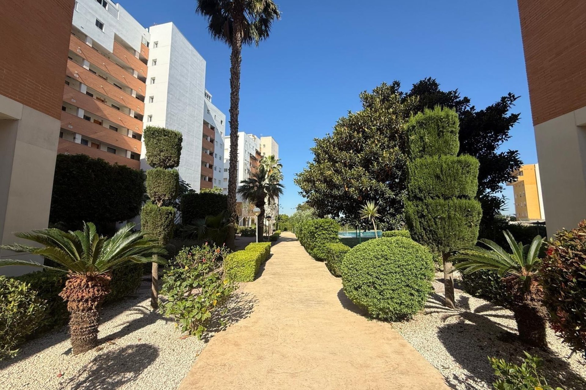 Herverkoop - Apartamento -
Guardamar del Segura - Avenida del Puerto