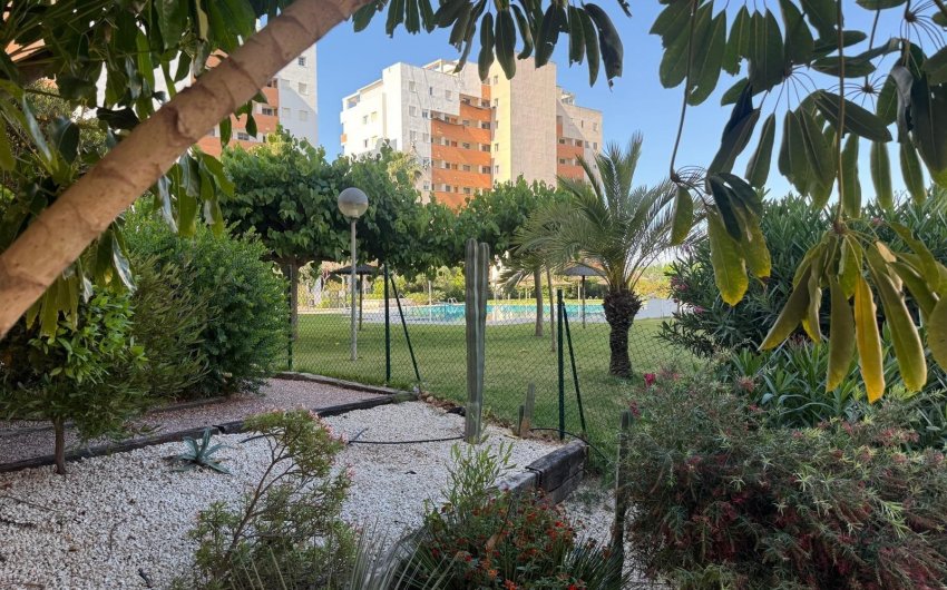 Herverkoop - Apartamento -
Guardamar del Segura - Avenida del Puerto