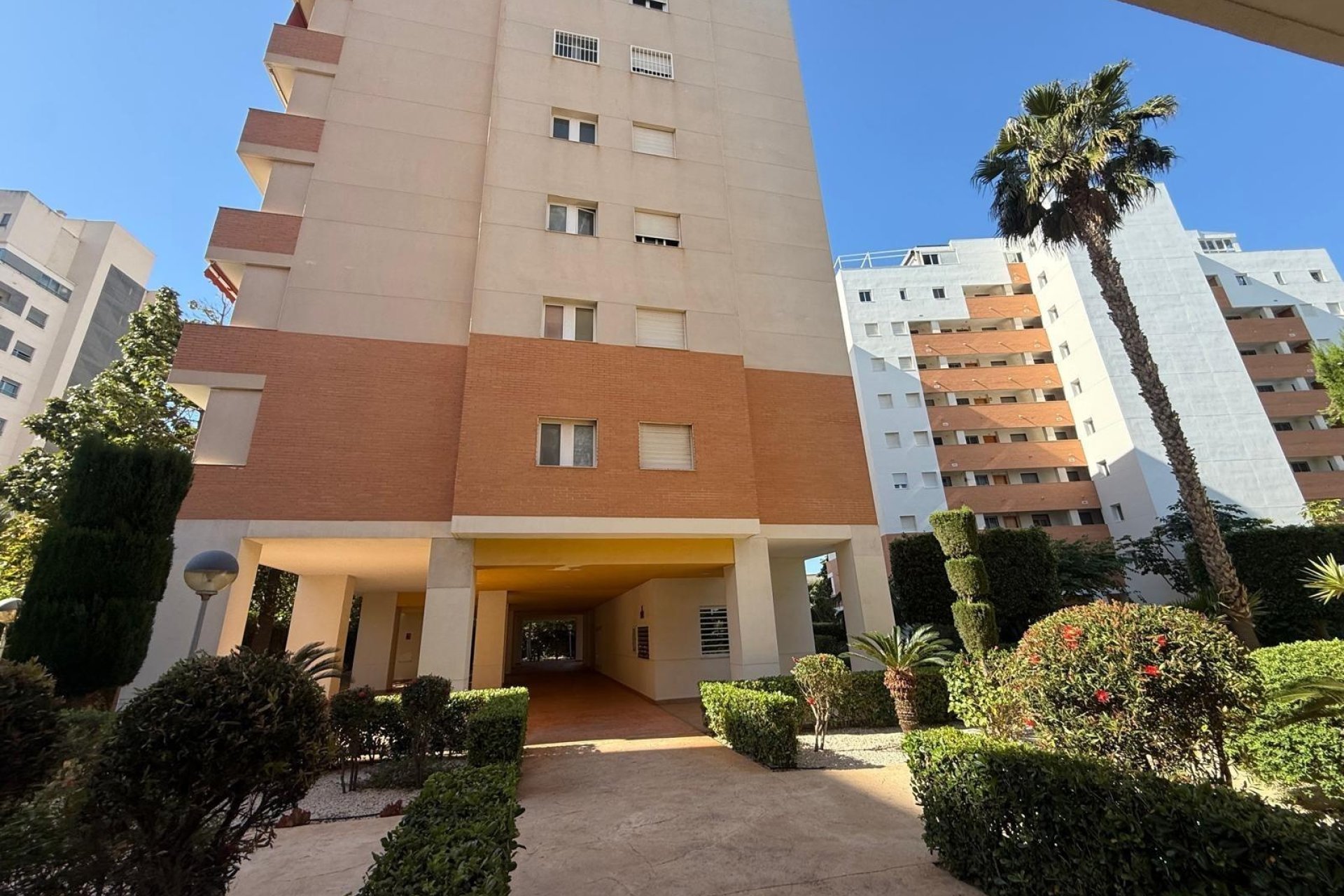 Herverkoop - Apartamento -
Guardamar del Segura - Avenida del Puerto