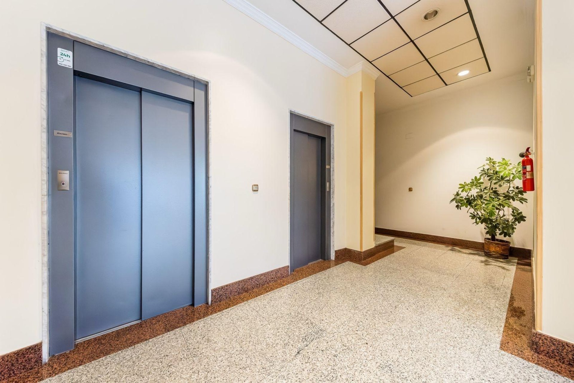 Herverkoop - Apartamento -
Torrevieja - Centro