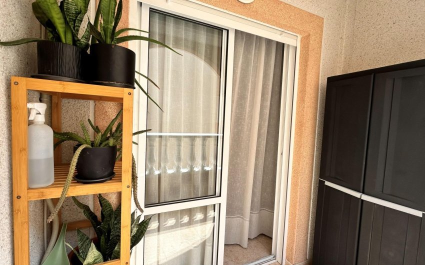 Herverkoop - Apartamento -
Torrevieja - Centro