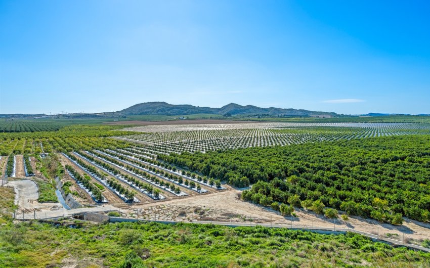 Herverkoop - Apartment -
Algorfa - Inland