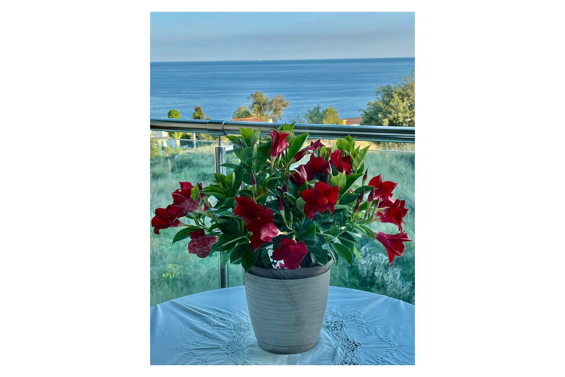 Herverkoop - Apartment -
Calpe