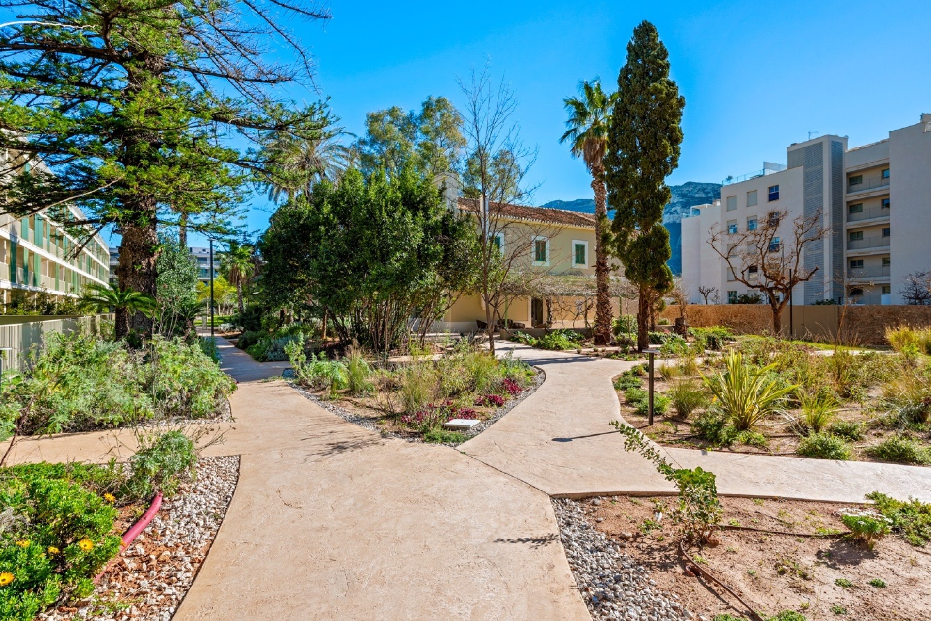 Herverkoop - Apartment -
Denia - Puerto