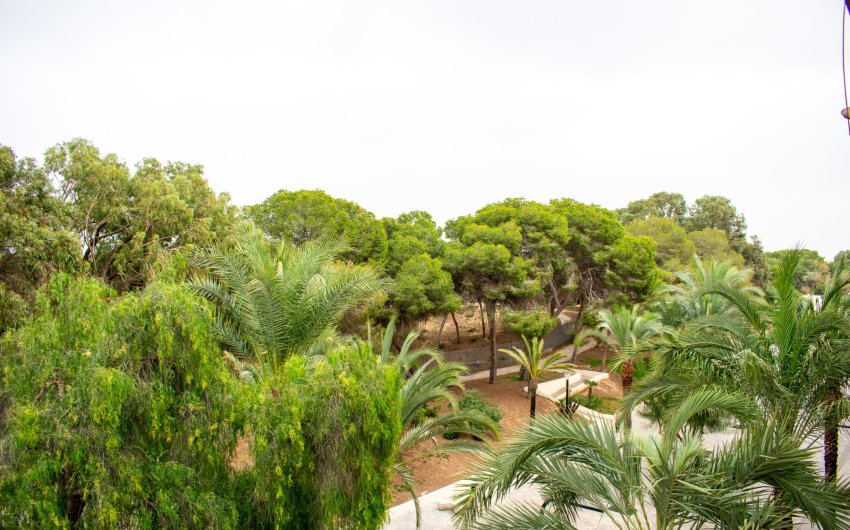 Herverkoop - Apartment -
Guardamar del Segura - Center