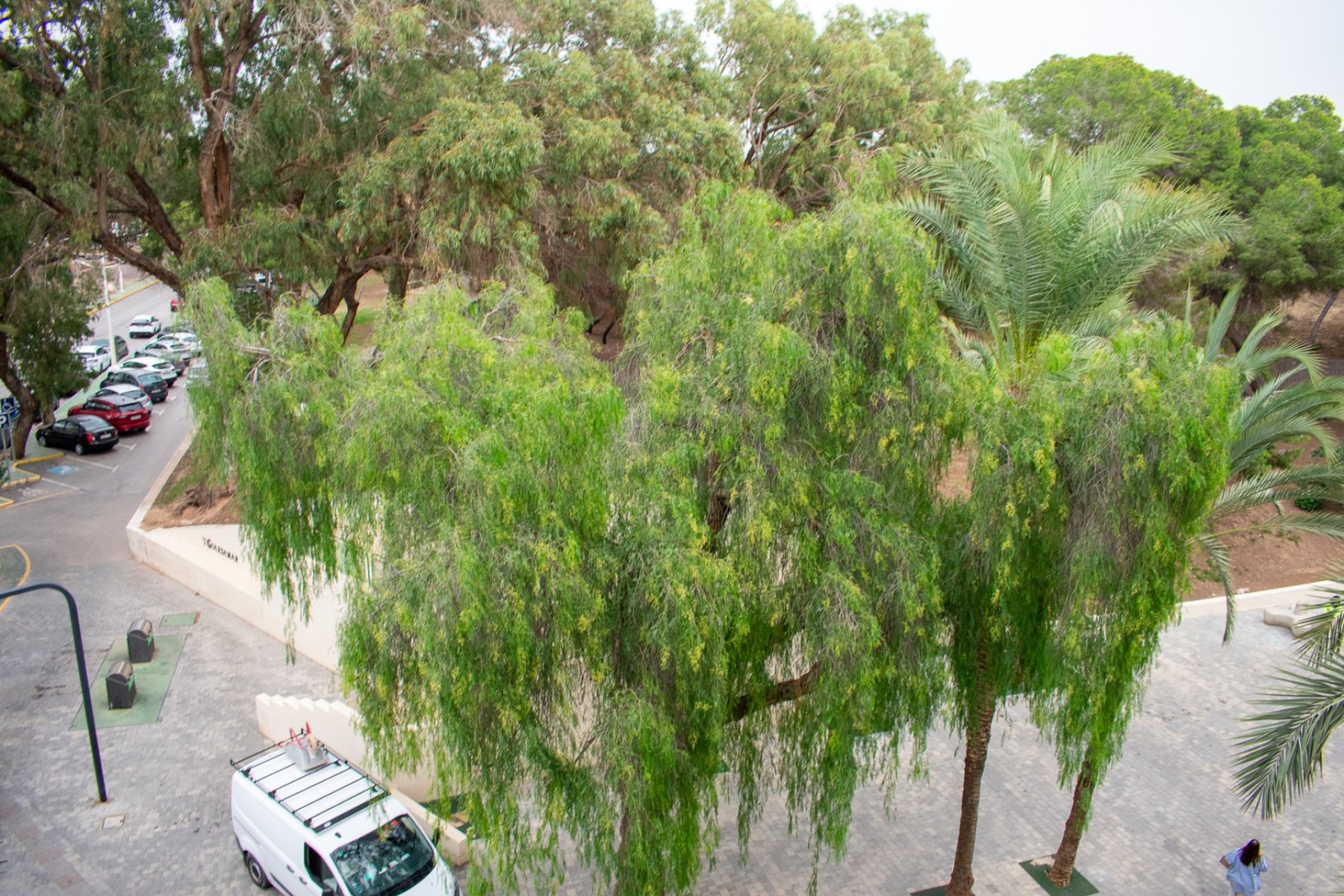 Herverkoop - Apartment -
Guardamar del Segura - Center