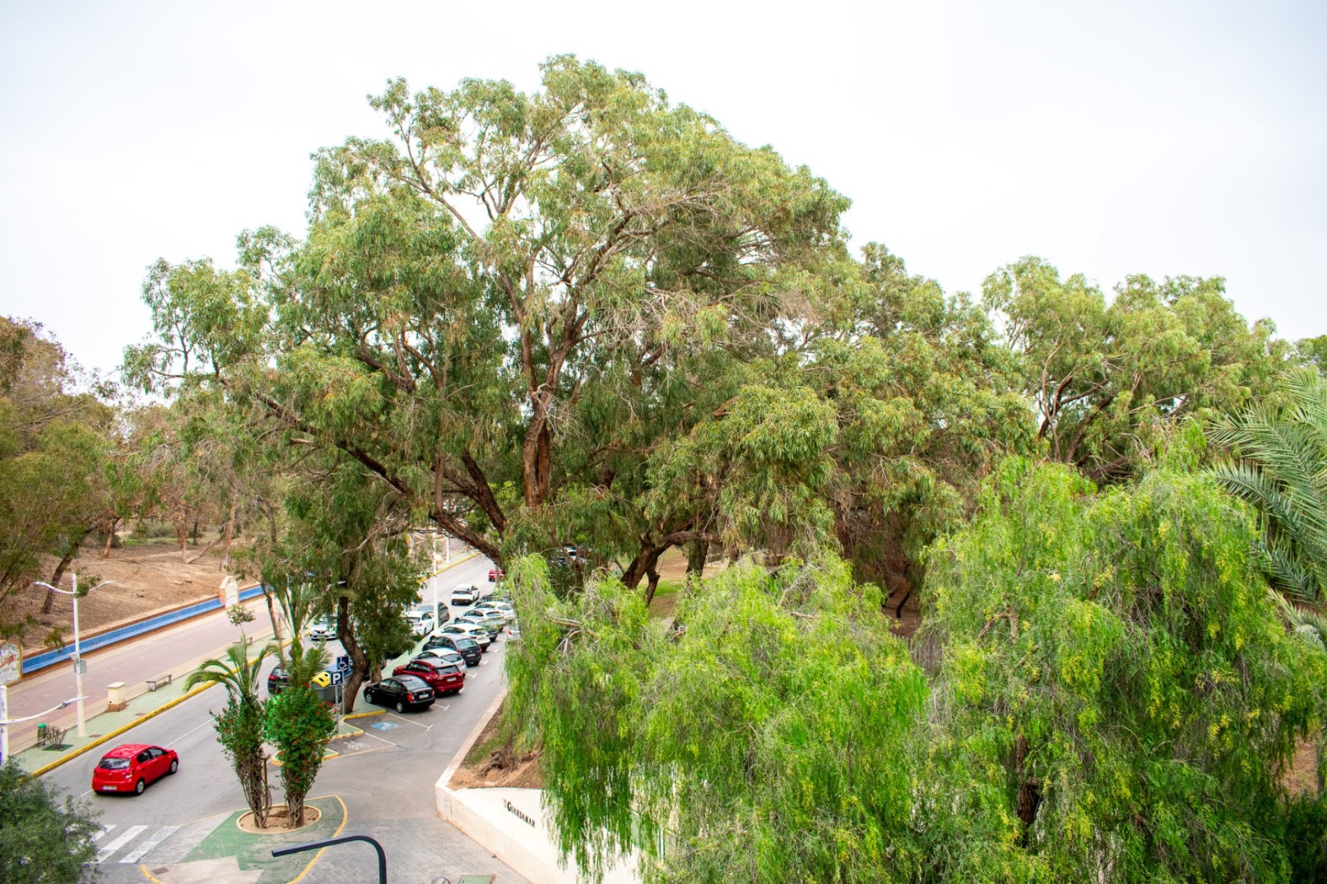 Herverkoop - Apartment -
Guardamar del Segura - Center