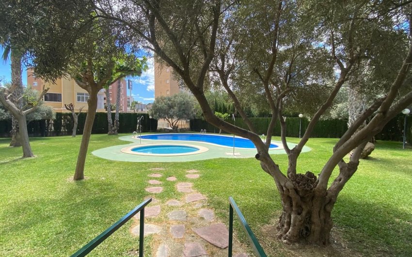 Herverkoop - Apartment -
Guardamar del Segura - Costa Blanca