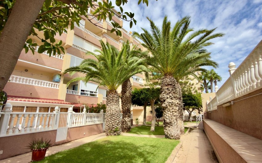 Herverkoop - Apartment -
Guardamar del Segura - Urbanizaciones
