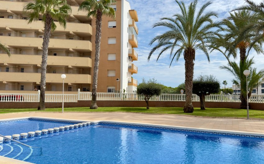 Herverkoop - Apartment -
Guardamar del Segura - Urbanizaciones