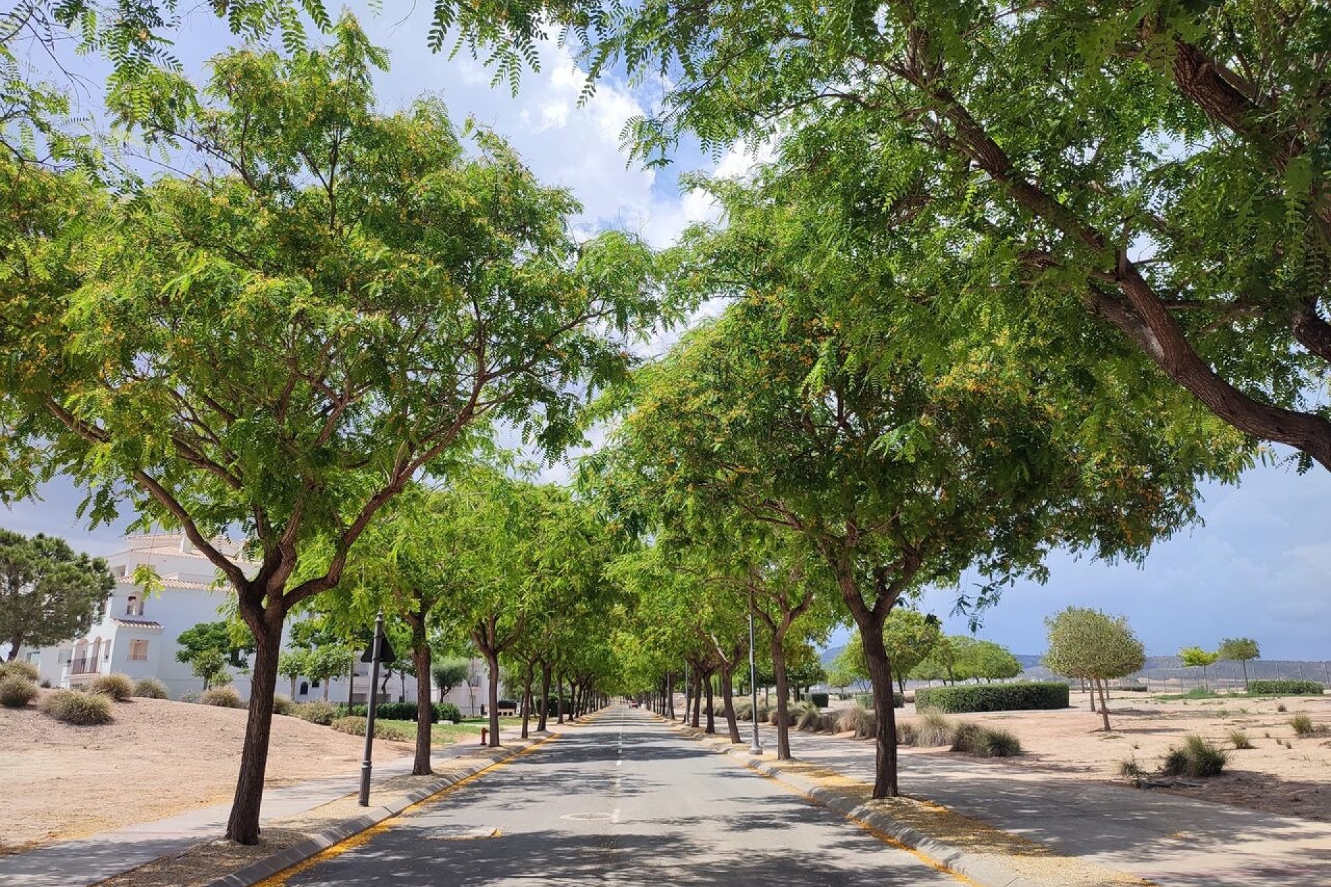 Herverkoop - Apartment -
Hacienda Riquelme Golf Resort - Inland