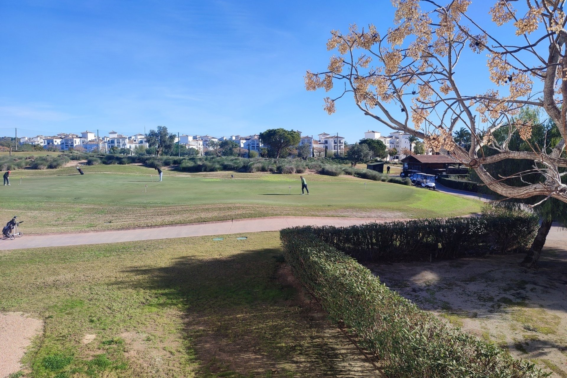 Herverkoop - Apartment -
Hacienda Riquelme Golf Resort - Inland