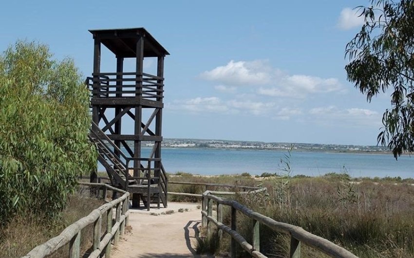 Herverkoop - Apartment -
La Mata - La Mata - Town