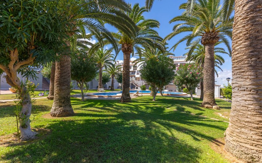 Herverkoop - Apartment -
La Mata