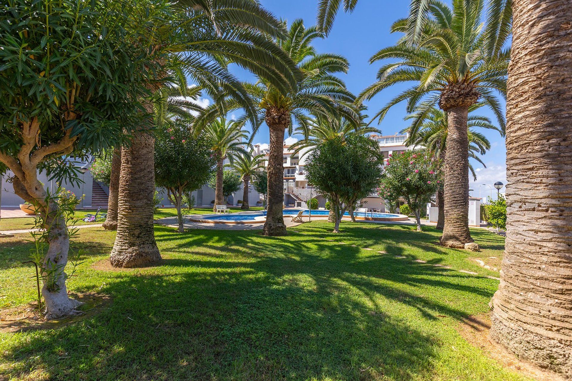 Herverkoop - Apartment -
La Mata