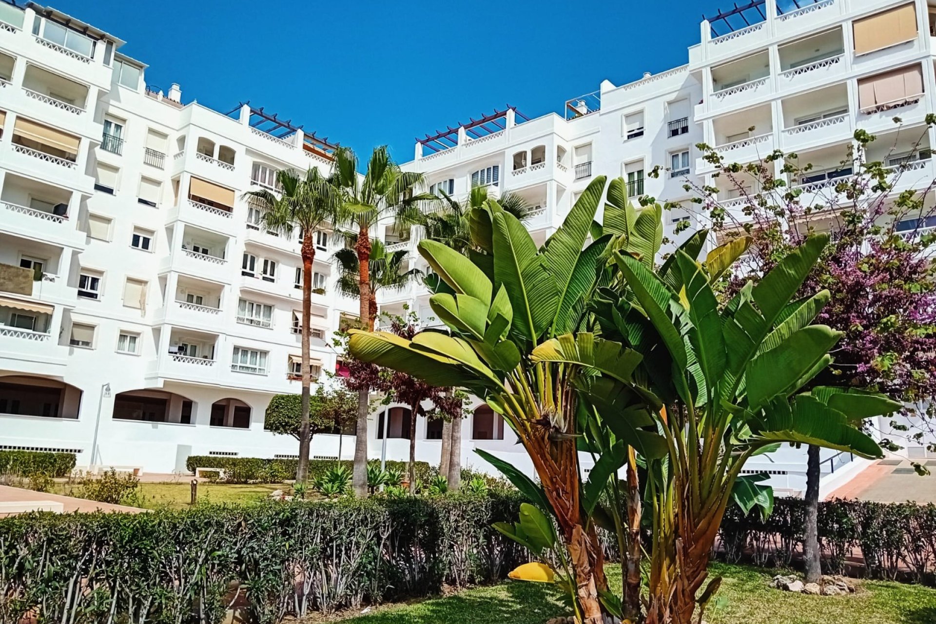 Herverkoop - Apartment -
Marbella - Nueva Andalucía