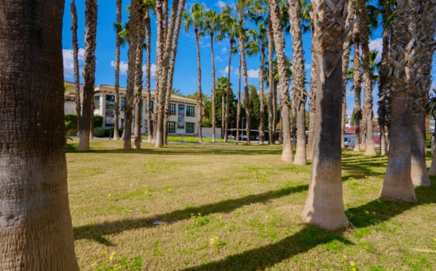 Herverkoop - Apartment -
Orihuela - Costa Blanca