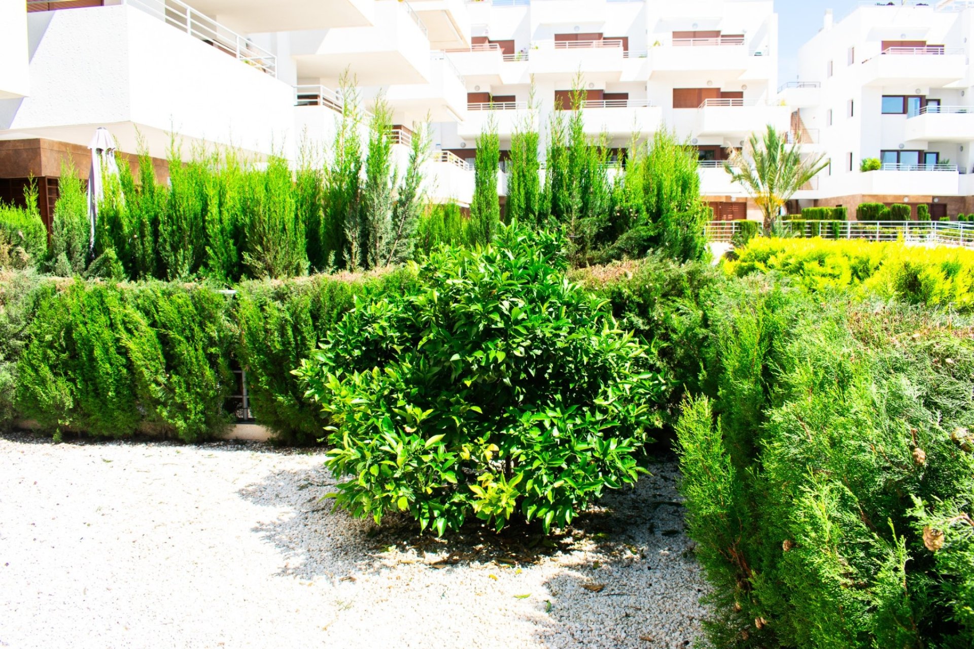 Herverkoop - Apartment -
Orihuela Costa - Cabo Roig