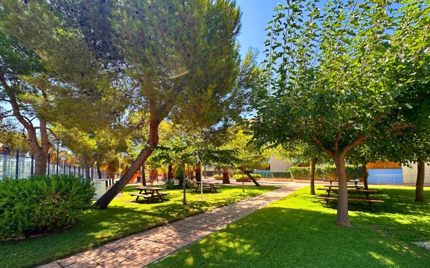 Herverkoop - Apartment -
Orihuela Costa - Costa Blanca