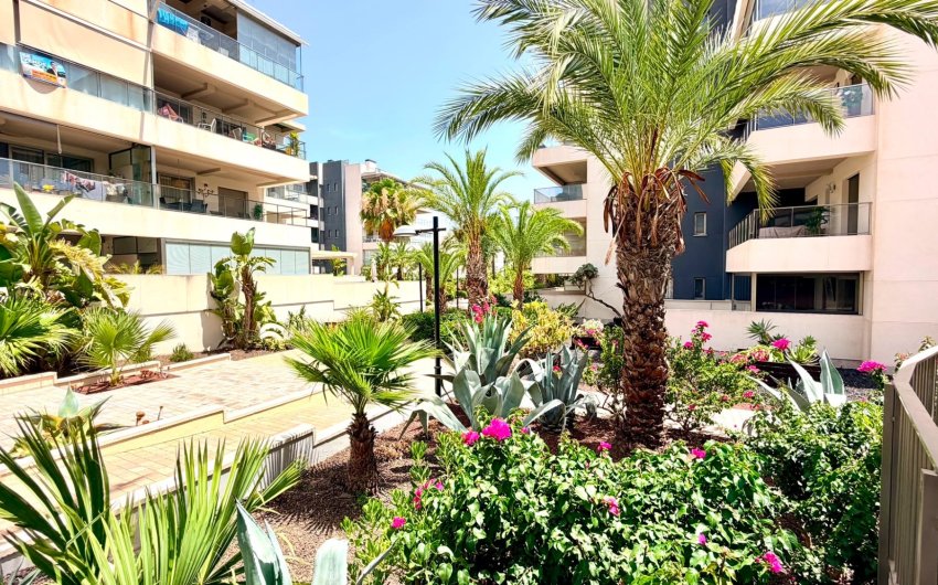 Herverkoop - Apartment -
Orihuela Costa - Costa Blanca