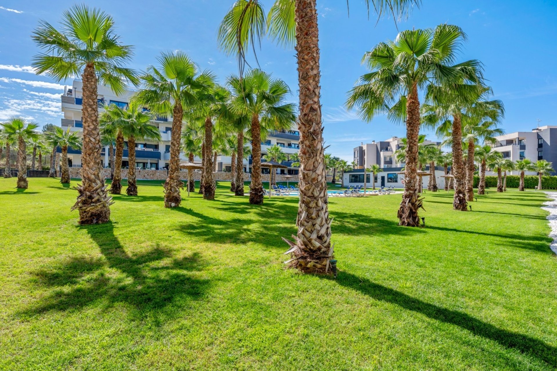 Herverkoop - Apartment -
Orihuela Costa - Costa Blanca