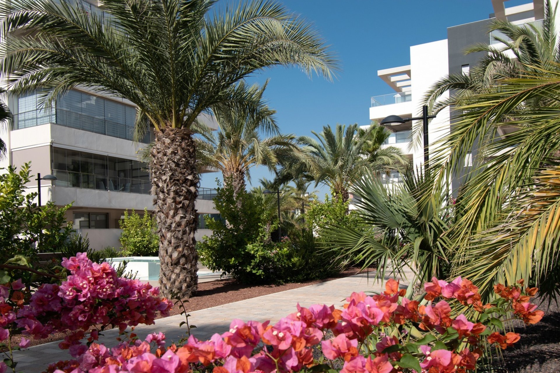 Herverkoop - Apartment -
Orihuela Costa - Los Dolses