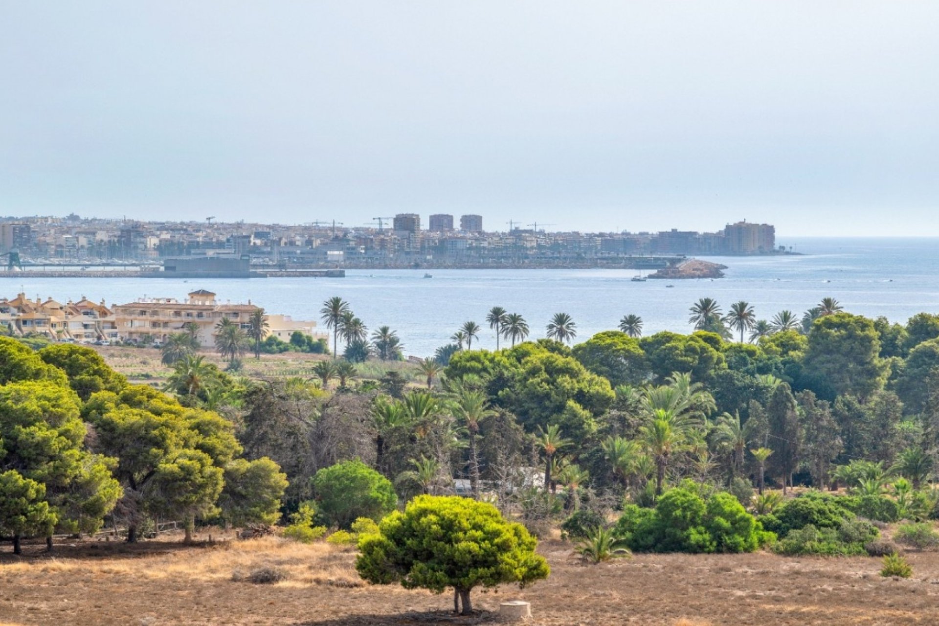 Herverkoop - Apartment -
Orihuela Costa - Punta Prima