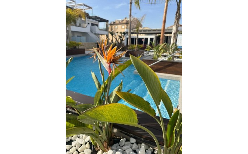 Herverkoop - Apartment -
Orihuela Costa - Rocio Del Mar