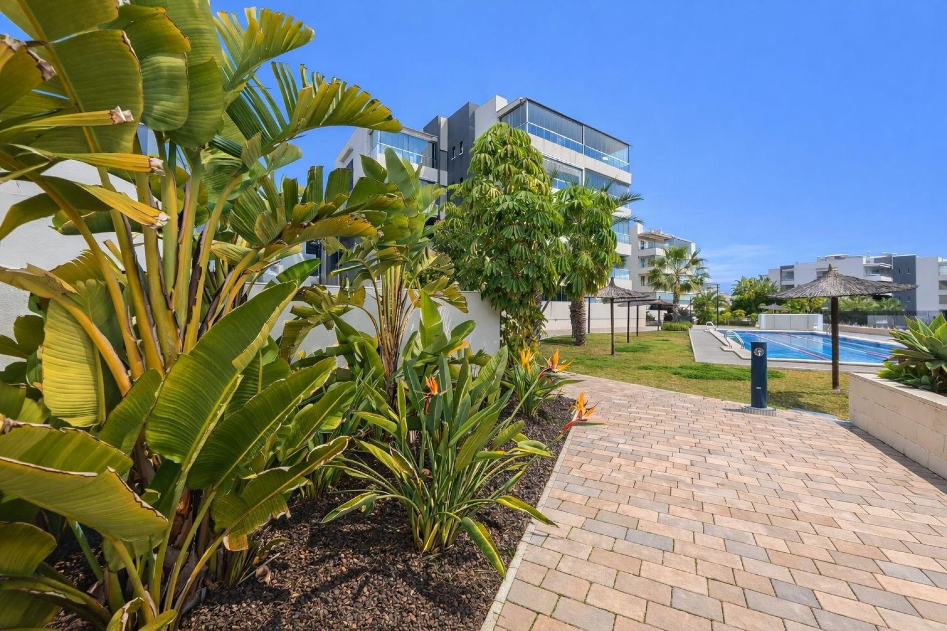 Herverkoop - Apartment -
Orihuela Costa - Villamartín