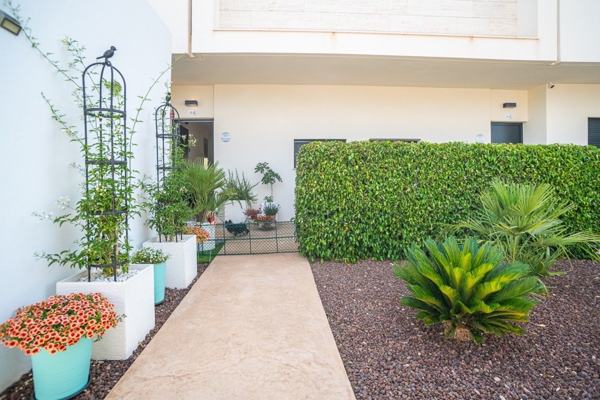 Herverkoop - Apartment -
Pilar de la Horadada - Costa Blanca