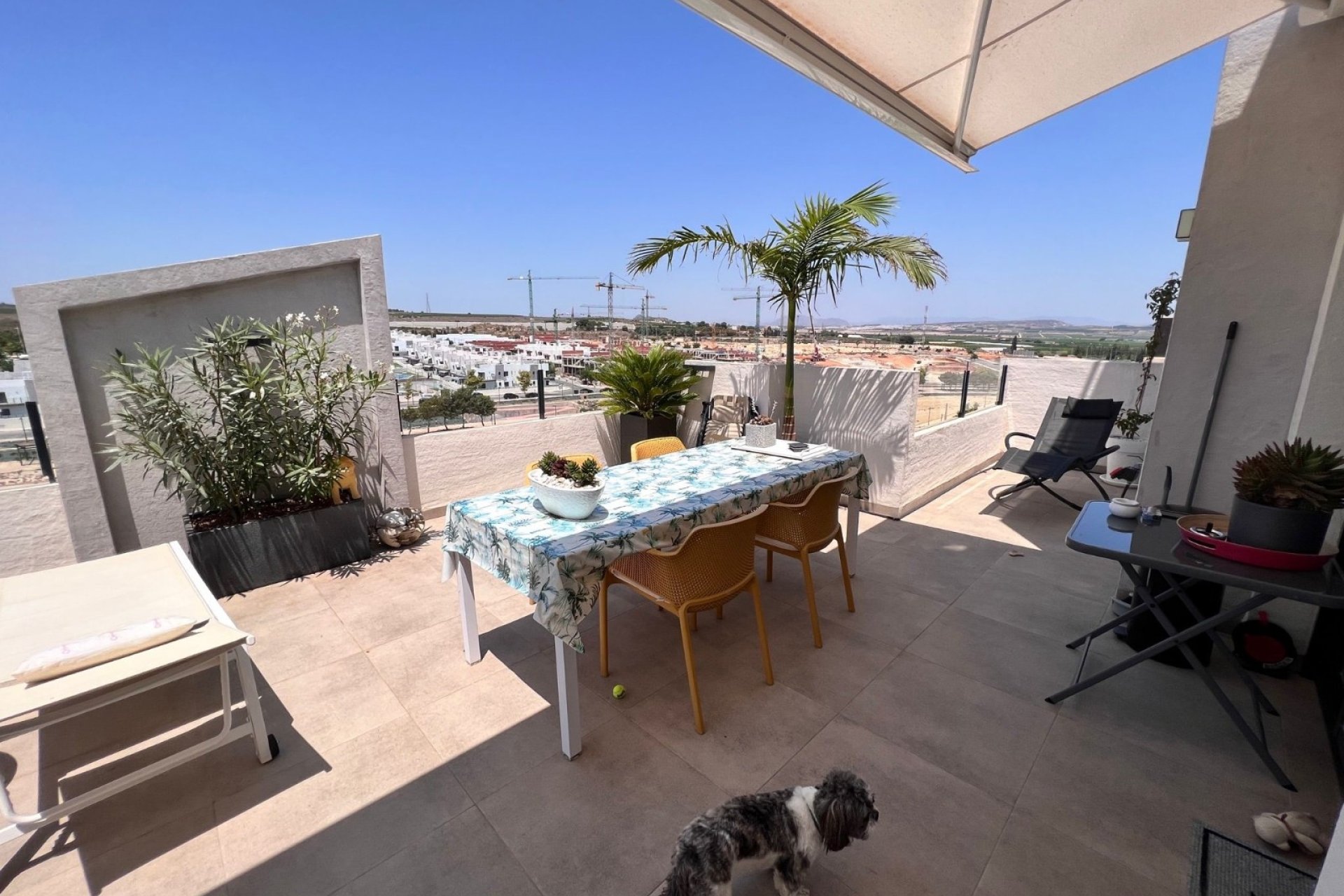 Herverkoop - Apartment -
San Miguel de Salinas - Inland