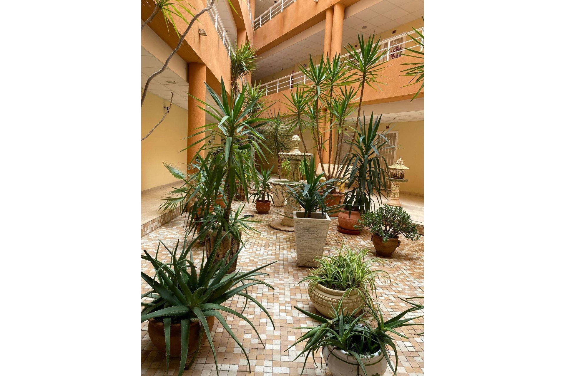 Herverkoop - Apartment -
San Miguel de Salinas - Pueblo 9