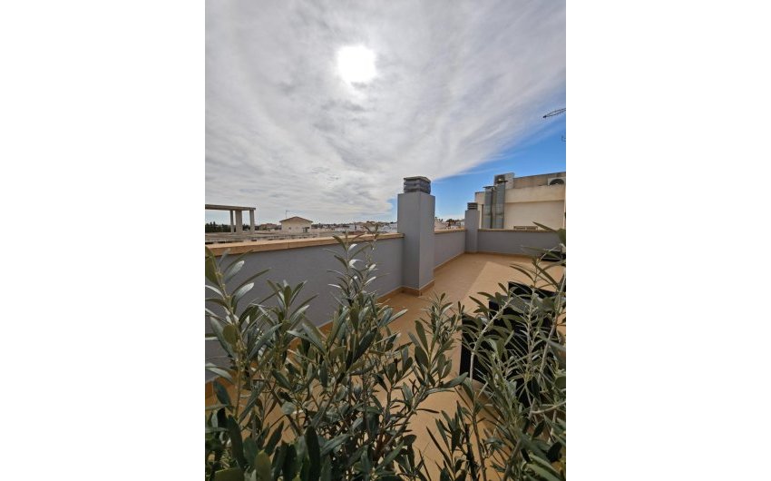 Herverkoop - Apartment -
San Miguel de Salinas - Pueblo 9