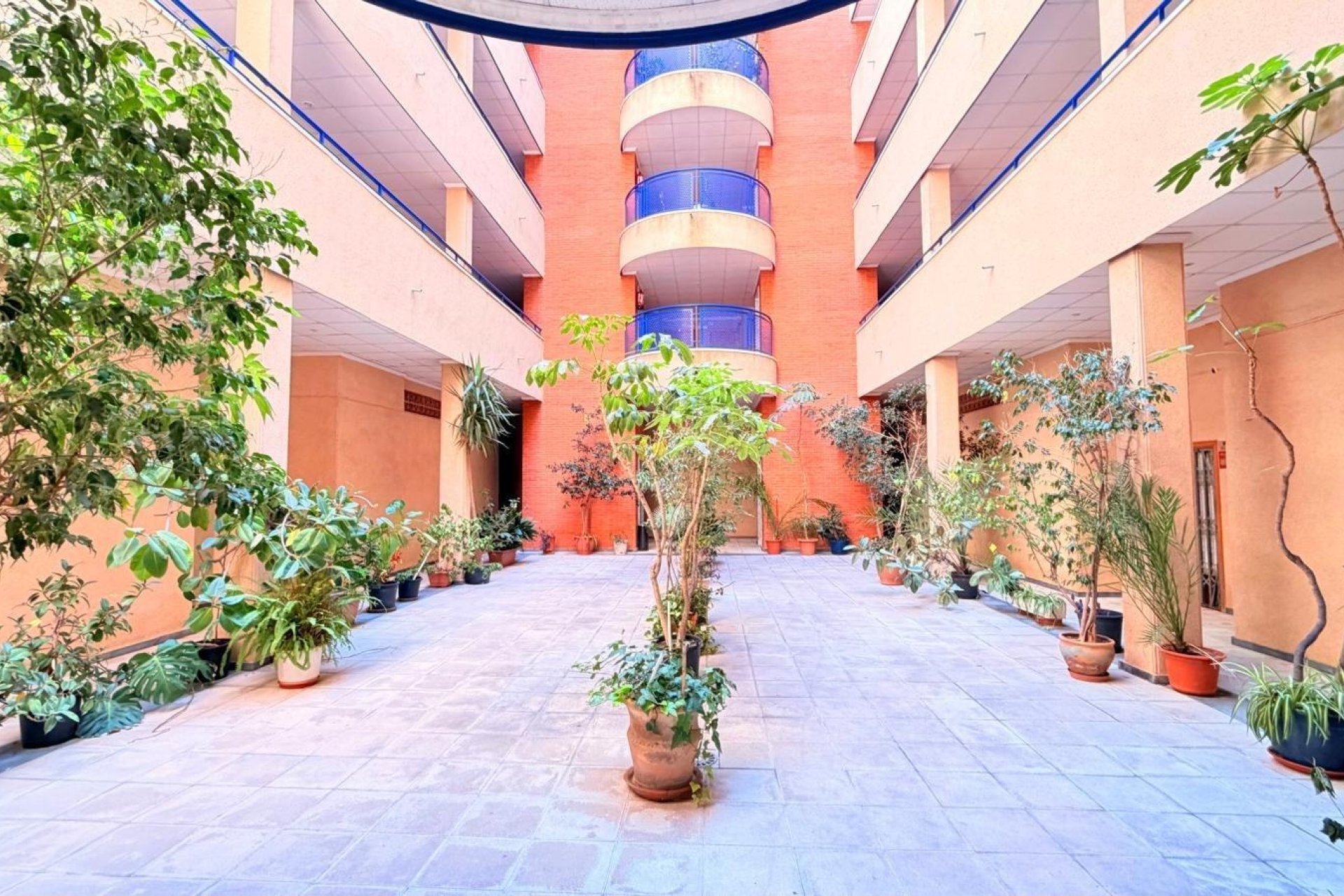 Herverkoop - Apartment -
Torrevieja - Acequion