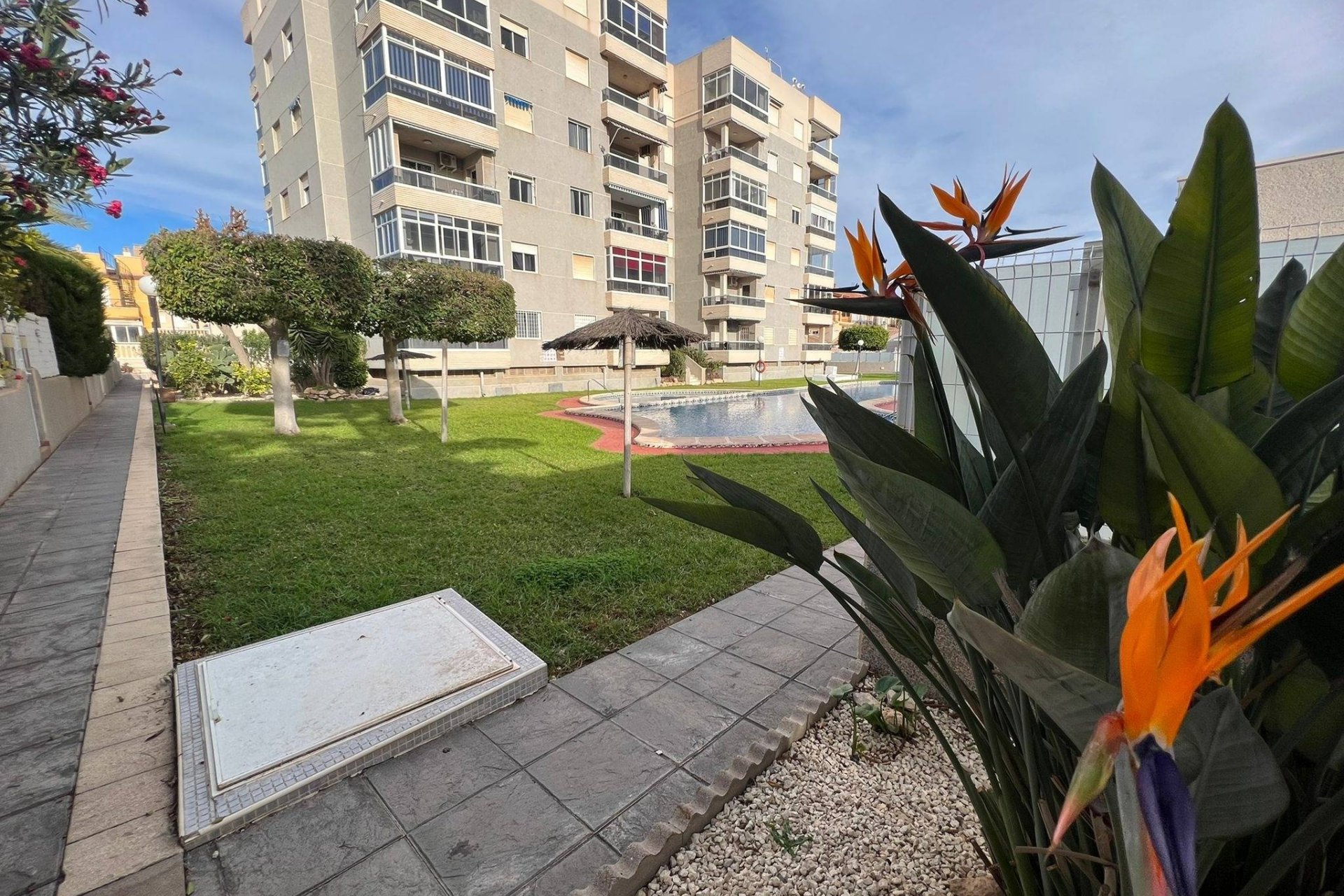Herverkoop - Apartment -
Torrevieja - Aguas Nuevas
