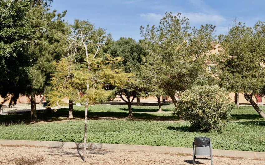 Herverkoop - Apartment -
Torrevieja - Aguas Nuevas