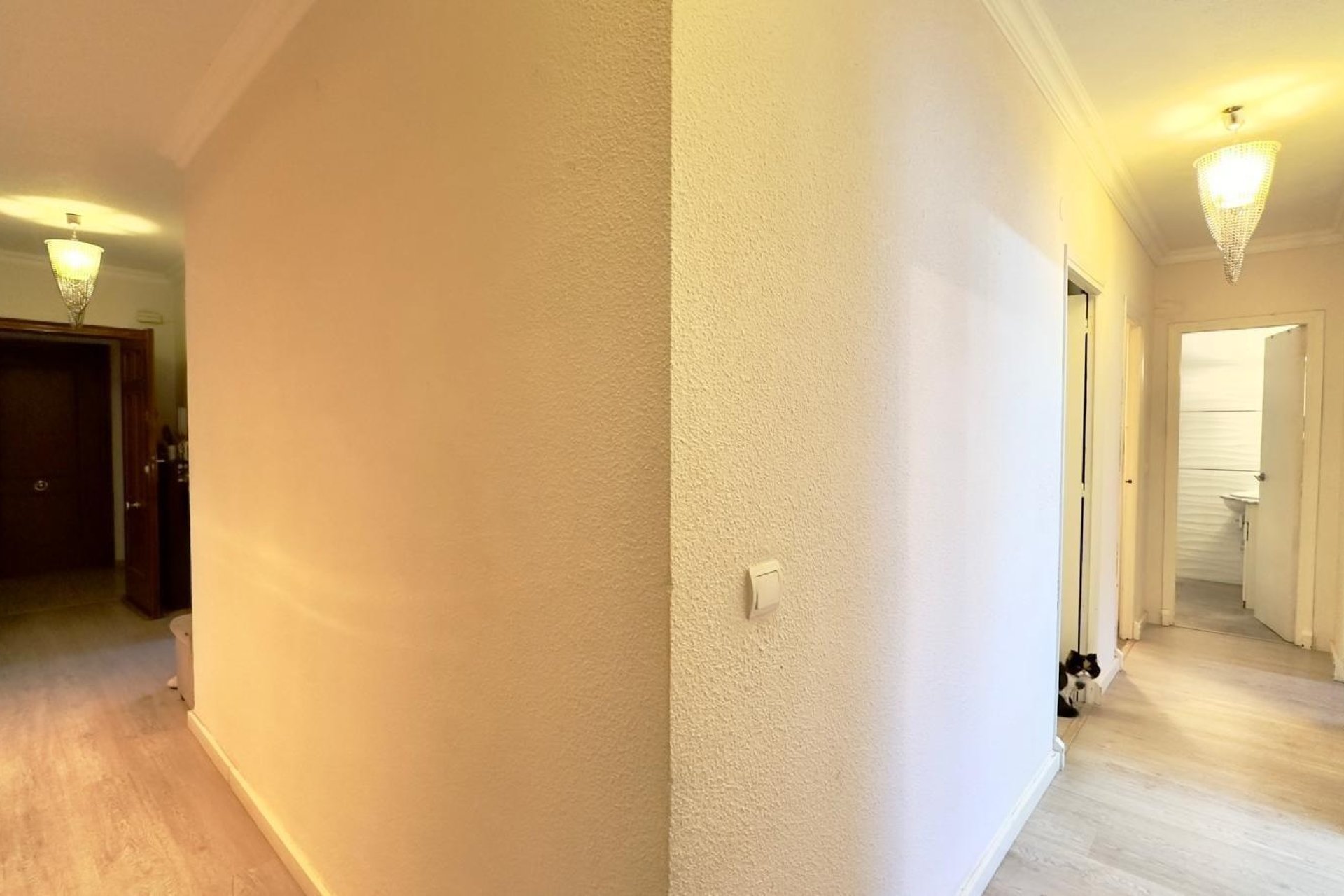 Herverkoop - Apartment -
Torrevieja - Centro