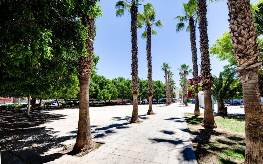 Herverkoop - Apartment -
Torrevieja - Centro