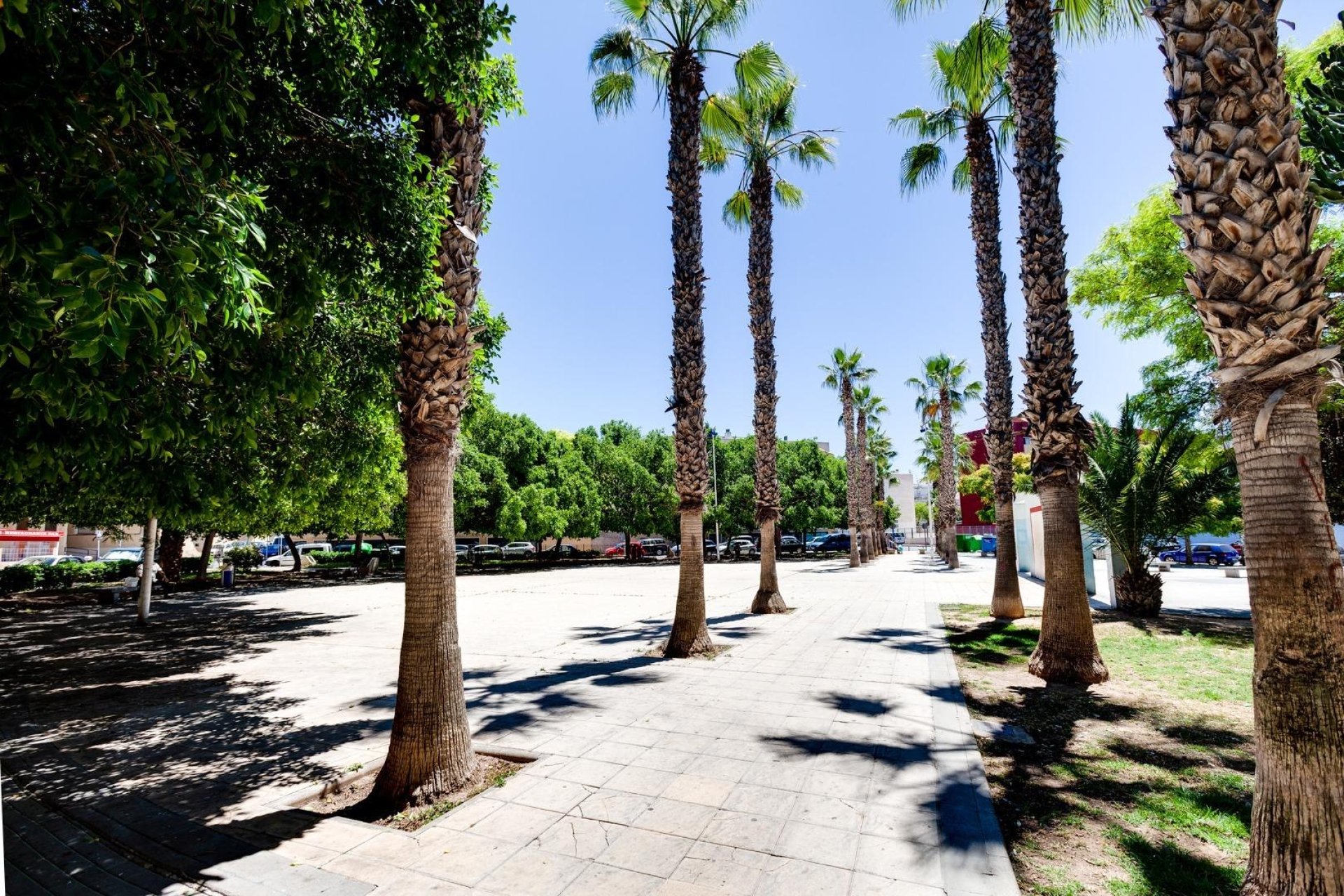 Herverkoop - Apartment -
Torrevieja - Centro