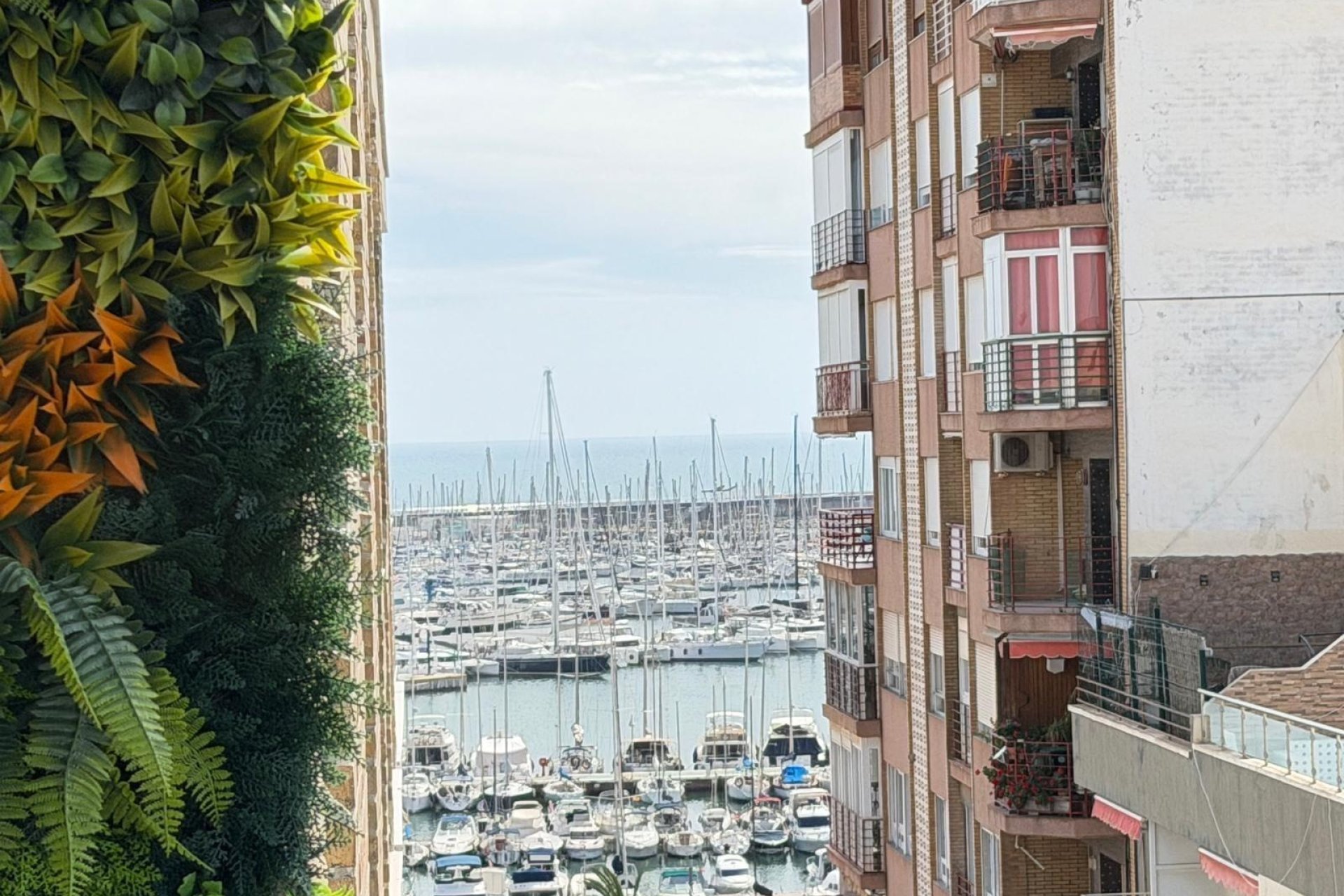 Herverkoop - Apartment -
Torrevieja - Centro